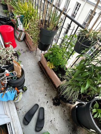 Pendant une grosse séance de jardinage sur mon balcon, c’est le chantier !