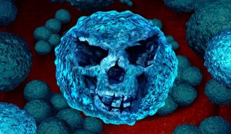Les virus n’existent pas – Réfutation de la théorie virale