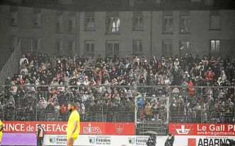 « Une expérience » : ces supporters de Brest ont suivi le match contre Nantes... dans le parcage de Francis-Le Blé