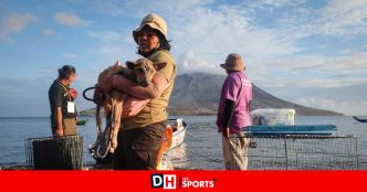 Près d'un volcan en Indonésie, des bénévoles risquent leur vie pour sauver des animaux pris au piège par des éruptions (PHOTOS)