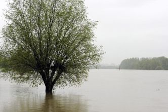 Inondations: Yonne et Haute-Marne en vigilance orange
