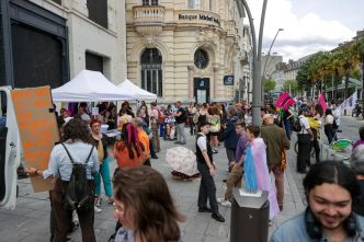 La communauté trans s'est mobilisée à Pau ce dimanche