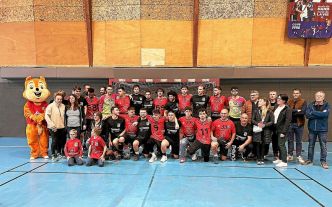La Stiren handball de Languidic s'incline à domicile face au leader du championnat