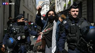 Soutien à Gaza : un syndicat lycéen appelle au blocage dans toute la France dès lundi | TF1 INFO