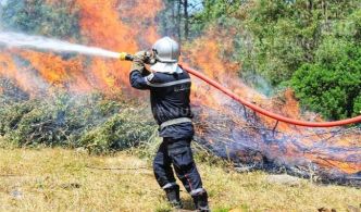 Maîtrise d’un incendie dans un champ agricole à Siliana