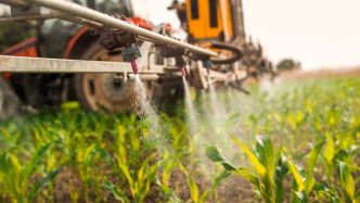 Plan Ecophyto : ce que l'on sait de la nouvelle stratégie de réduction des pesticides présentée ce lundi