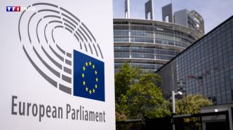 Un quart des députés européens touchent-ils des "rémunérations annexes" ?  | TF1 INFO