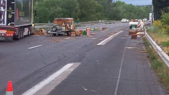 Des abeilles dispersées sur l'A7 à Orgon après l'accident d'un véhicule qui transportait des ruches, l'autoroute fermée