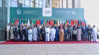 Le 15ème Sommet islamique de lOCI démarre en Gambie (Autre presse)