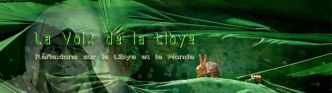 LIBYE : «UN SILENCE COMPLICE»?