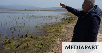 Entre inondations et manque d'eau, l'avenir compromis de l'agriculture grecque en Thessalie