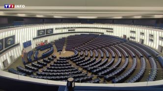 Quels sont les pouvoirs du Parlement européen ? | TF1 INFO