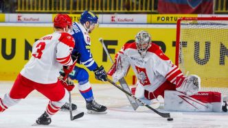La Slovaquie fait le plein de buts et de renforts NHL