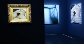 « L’Origine du Monde » taguée : une galerie du musée Pompidou-Metz fermée