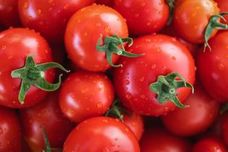 ▶️ Les tutos jardinage de la Rép : comment repiquer un pied de tomates ?
