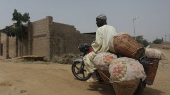 Burkina Faso, Mali, Niger: 7,5 millions de personnes en "insécurité alimentaire sévère"