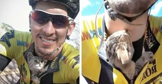 Rencontre émouvante : comment Vitor Fonseca a sauvé un chaton abandonné