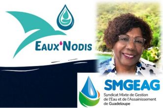 "Non à l'augmentation de 80% du prix de l'eau à Deshaies !", déclare la maire Jeanny Marc