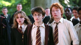 Un personnage clé des livres Harry Potter méconnu au cinéma pourrait enfin être valorisé dans la nouvelle série télévisée