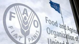 Lutte contre l’insécurité alimentaire en Tunisie : Un nouveau cap franchi avec la FAO?