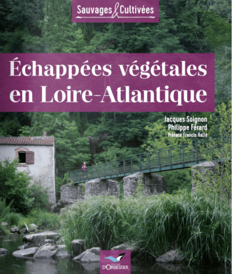 Échappées végétales en Loire-Atlantique