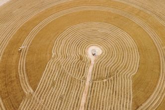 Climat : la Banque mondiale appelle à « réorienter drastiquement » le système agroalimentaire mondial