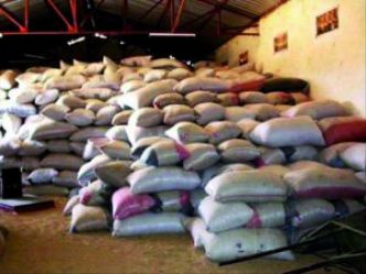 14e Conseil Supérieur de l'Agriculture :  L'engrais minéral à 14 000 FCFA le sac et le coton graine à 300 francs CFA le kilo