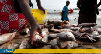 Le CTRI annonce 200 nouveaux postes budgétaires pour stimuler l'agriculture et la pêche au Gabon