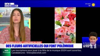 Marseille Story: des fleurs artificielles déposées dans des arbres dénoncées par une association