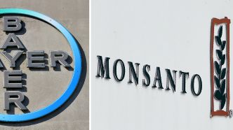 "Agent orange" : 14 groupes agrochimiques, dont Bayer-Monsanto, assignés en justice à Paris