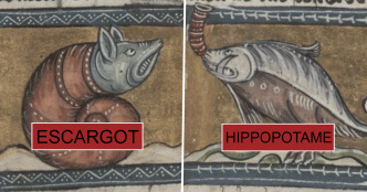 17 animaux dessinés au Moyen-Âge par des artistes qui ne les ont jamais vus