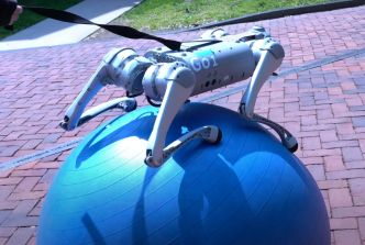 Incroyable prouesse d'un robot-chien qui tient des heures sur un ballon qui roule