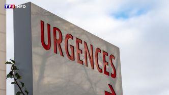 Pyrénées-Atlantiques : dix personnes finissent à l'hôpital après une soirée "space cake"  | TF1 INFO