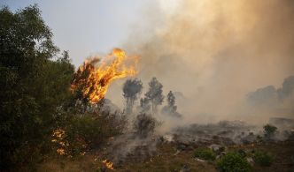 Maîtrise rapide d’un incendie ravageur près de Seliana