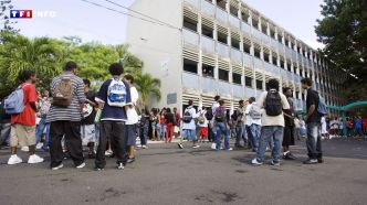 Guadeloupe : 55% des jeunes ont-ils des pensées suicidaires, comme l'affirme un député ? | TF1 INFO
