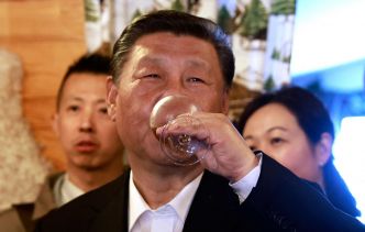 Emmanuel Macron, neige, porc noir... Retour sur la visite de Xi Jinping dans les Hautes-Pyrénées