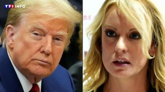 "J'ai eu honte de ne pas dire non" : le témoignage sans filtre de l'ex-star du X Stormy Daniels au procès Trump | TF1 INFO