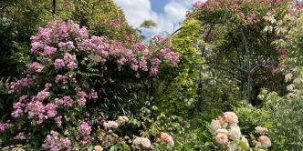 Roseraie de Morailles (45) : coup de cœur Rendez-vous aux jardins 2024