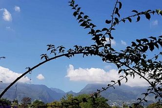 La Réunion : vigilance jaune, vents forts, de Saint-Pierre à L'Étang-Salé de 10h à 18h