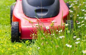 Faut-il vraiment arrêter de tondre sa pelouse au mois de mai ?