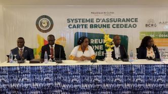 Le Système d’assurance Carte Brune CEDEAO ouvre sa réunion à Conakry