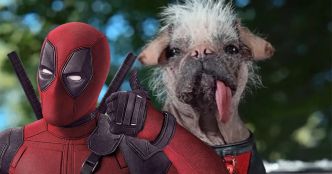 Deadpool & Wolverine : Dogpool a déjà battu ce record étrange