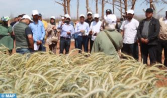 El Kelaâ des Sraghna: Journée de communication au profit des agriculteurs sur les nouvelles obtentions végétales de l’INRA