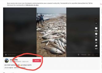 Fake News : Partage de vidéos pour démontrer l'efficacité de "l'annulation des accords de pêche", mais y a anguilles sous roches....