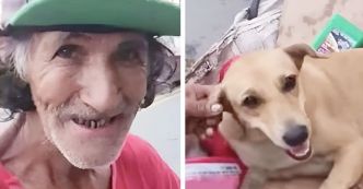 Homme de 72 ans préfère la compagnie de son chien à l’argent : Une leçon de valeur et de compassion
