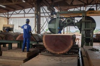 Bois : au Cameroun, la transformation locale dope l'exploitation forestière (+12,2%) au 4e trimestre 2023 (INS)