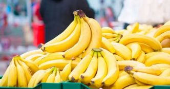 Flambée des prix de la Banane : L’État contre-attaque en important 10 000 tonnes