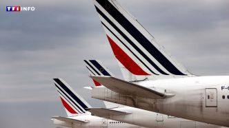 Un Boeing d'Air France reliant Paris à Seattle dérouté vers le Canada à cause d'une odeur suspecte | TF1 INFO