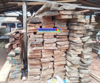 Mohamed Diané jugé pour « vol de planches de bois » à Conakry : « Mon métier ne marche pas en ce moment »