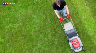 Les cinq erreurs à ne pas commettre quand on tond la pelouse | TF1 INFO